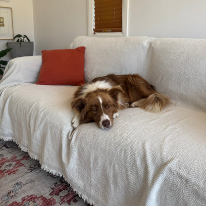 couchly - The Couch Cover