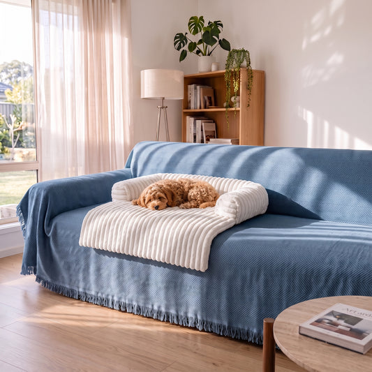 The Couch Bed